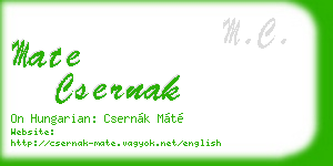 mate csernak business card