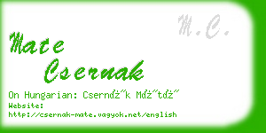 mate csernak business card